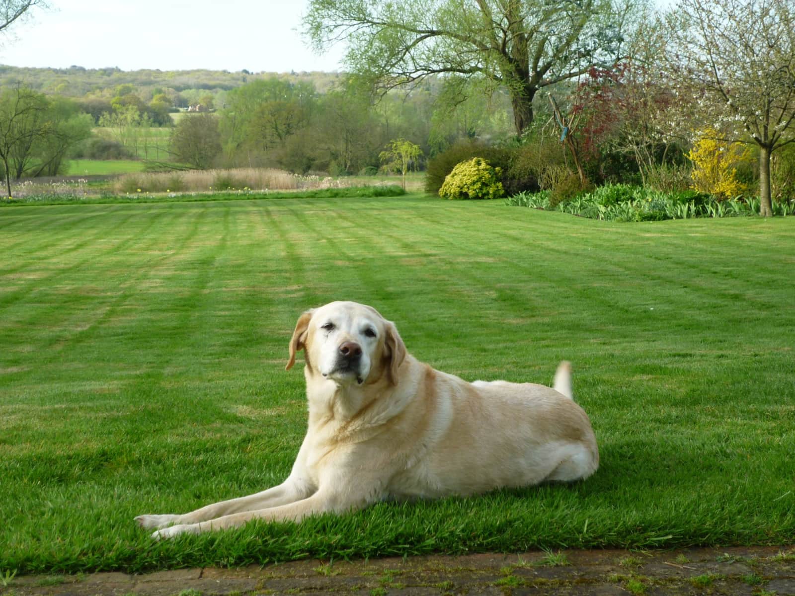Fiona from Chelmsford, United Kingdom
