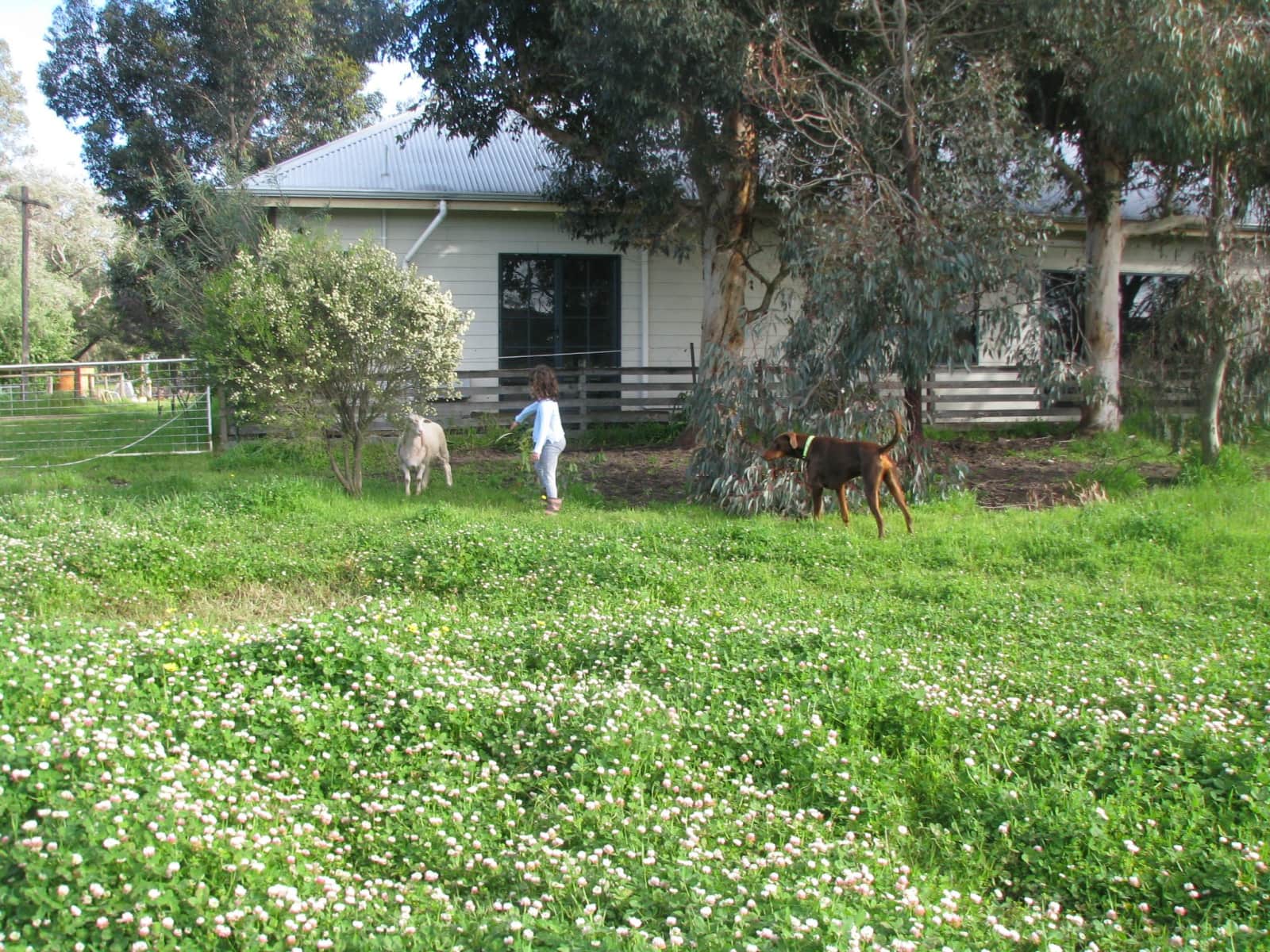 Housesitting assignment in Ludlow, Western Australia, Australia