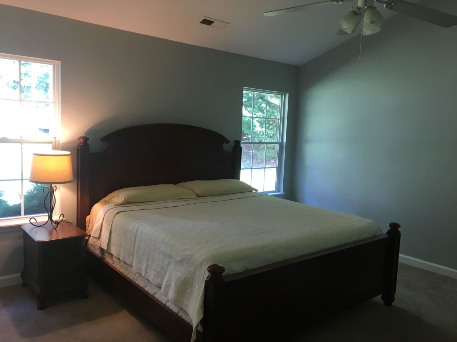 Housesitting assignment in Asheville, North Carolina, United States