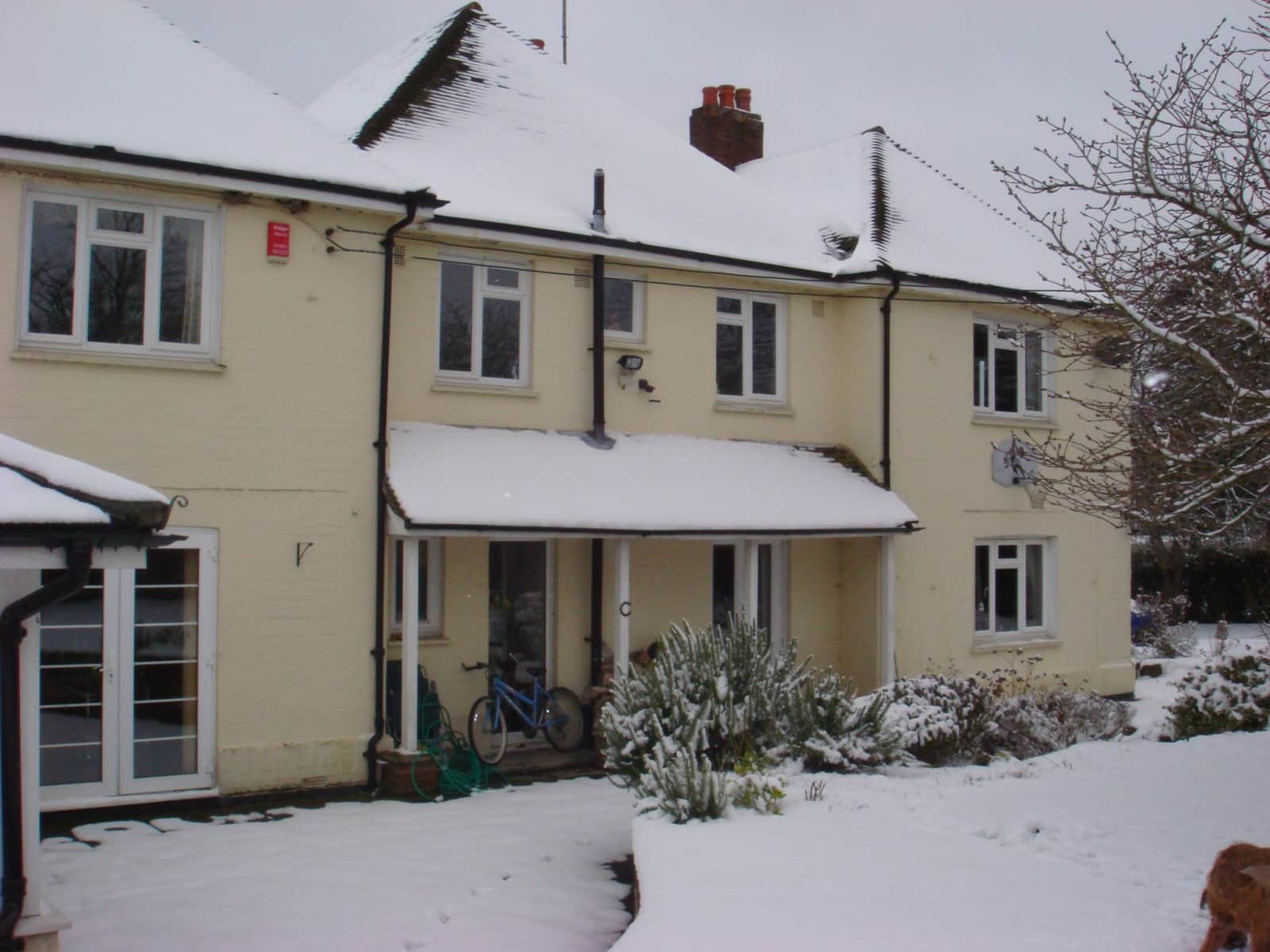 Housesitting assignment in Winchester, United Kingdom