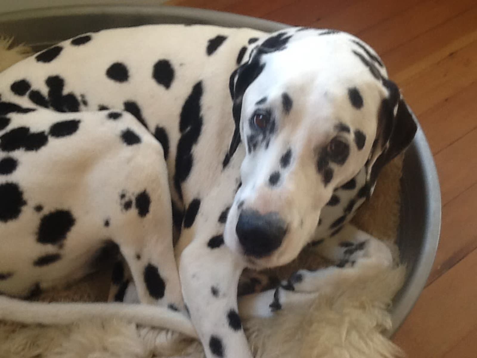 Robyn from Wellington, New Zealand