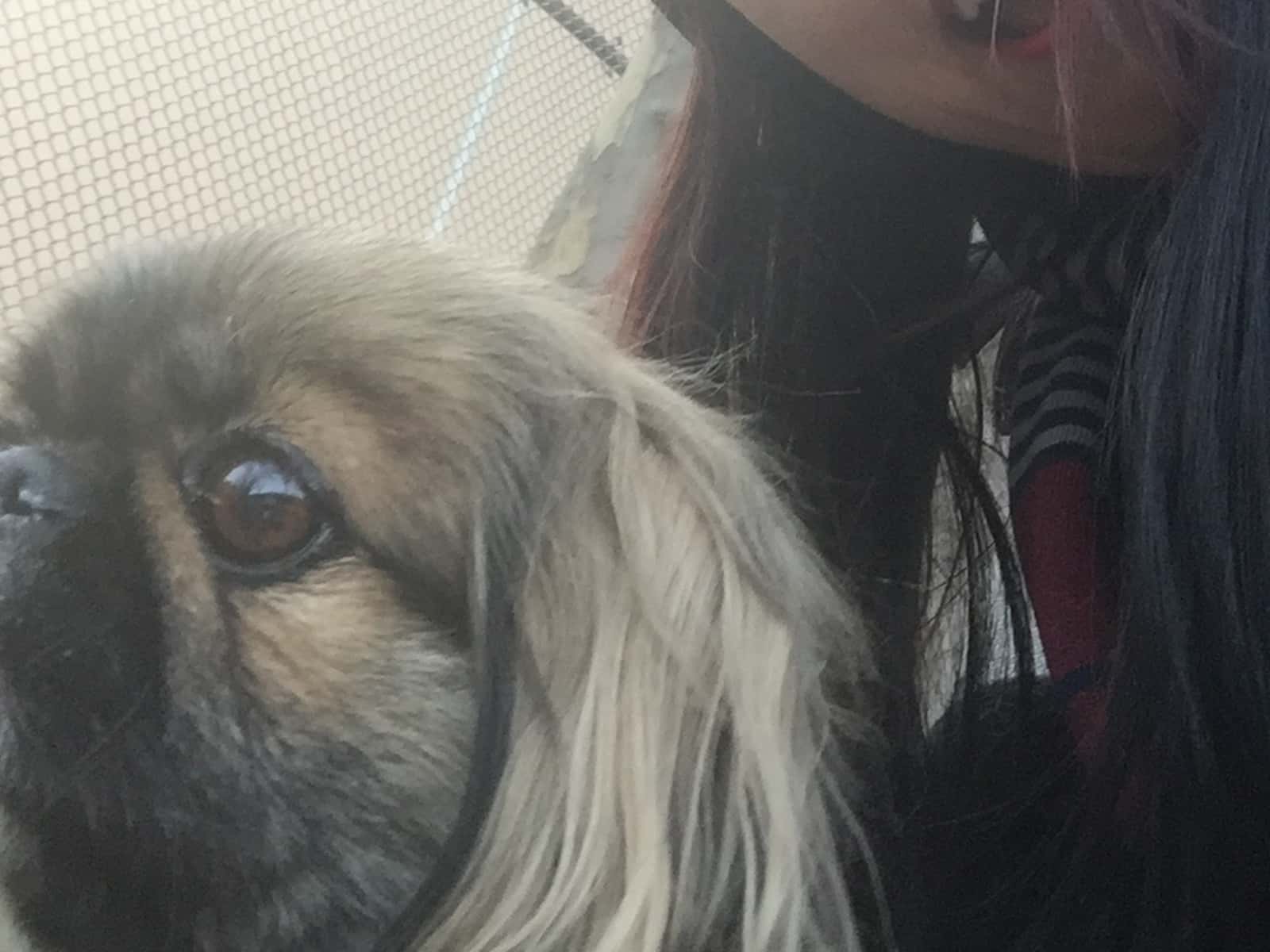Phoebe from London, United Kingdom
