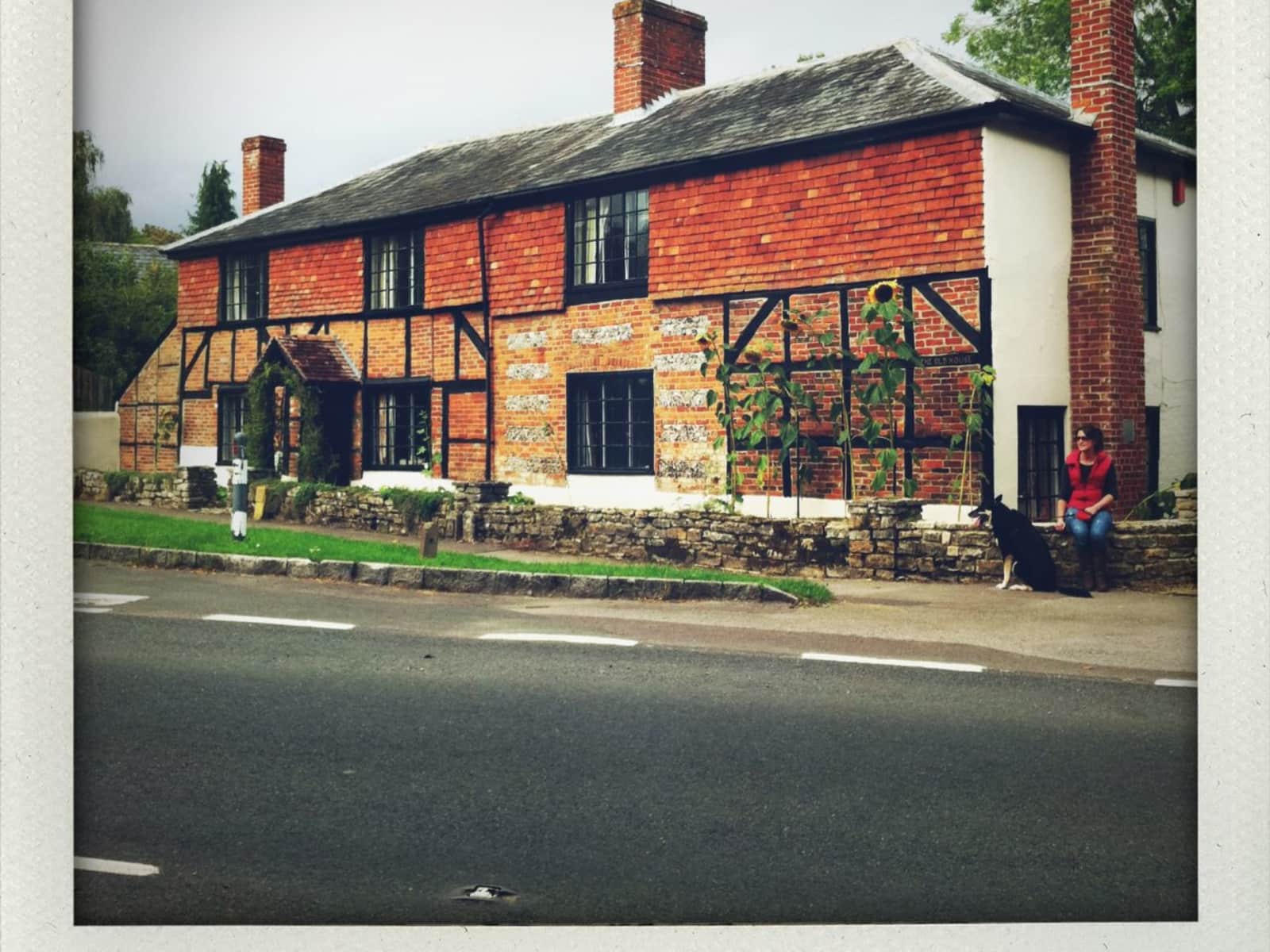 Housesitting assignment in Winchester, United Kingdom