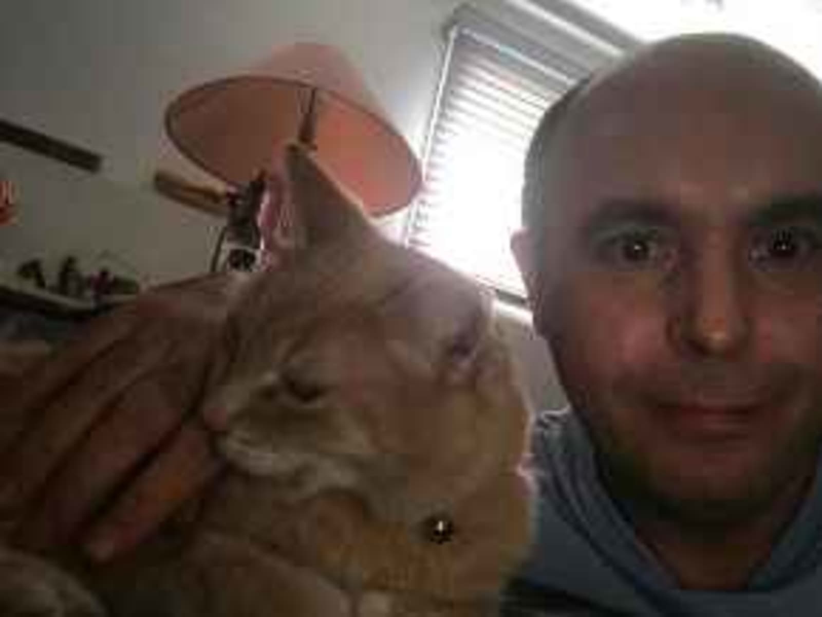 Abdenour from Hayward, California, United States