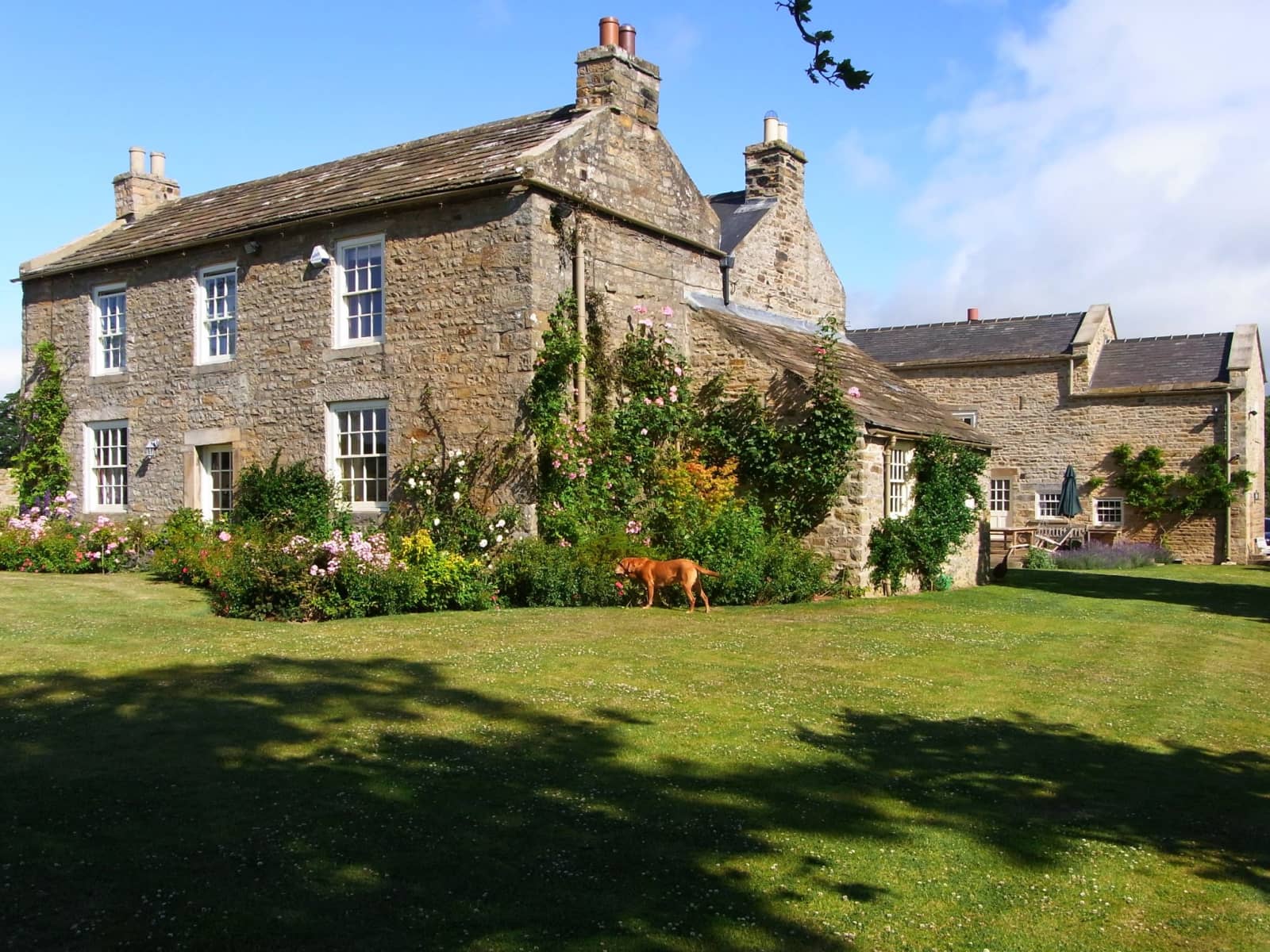 Housesitting assignment in Cotherstone, United Kingdom
