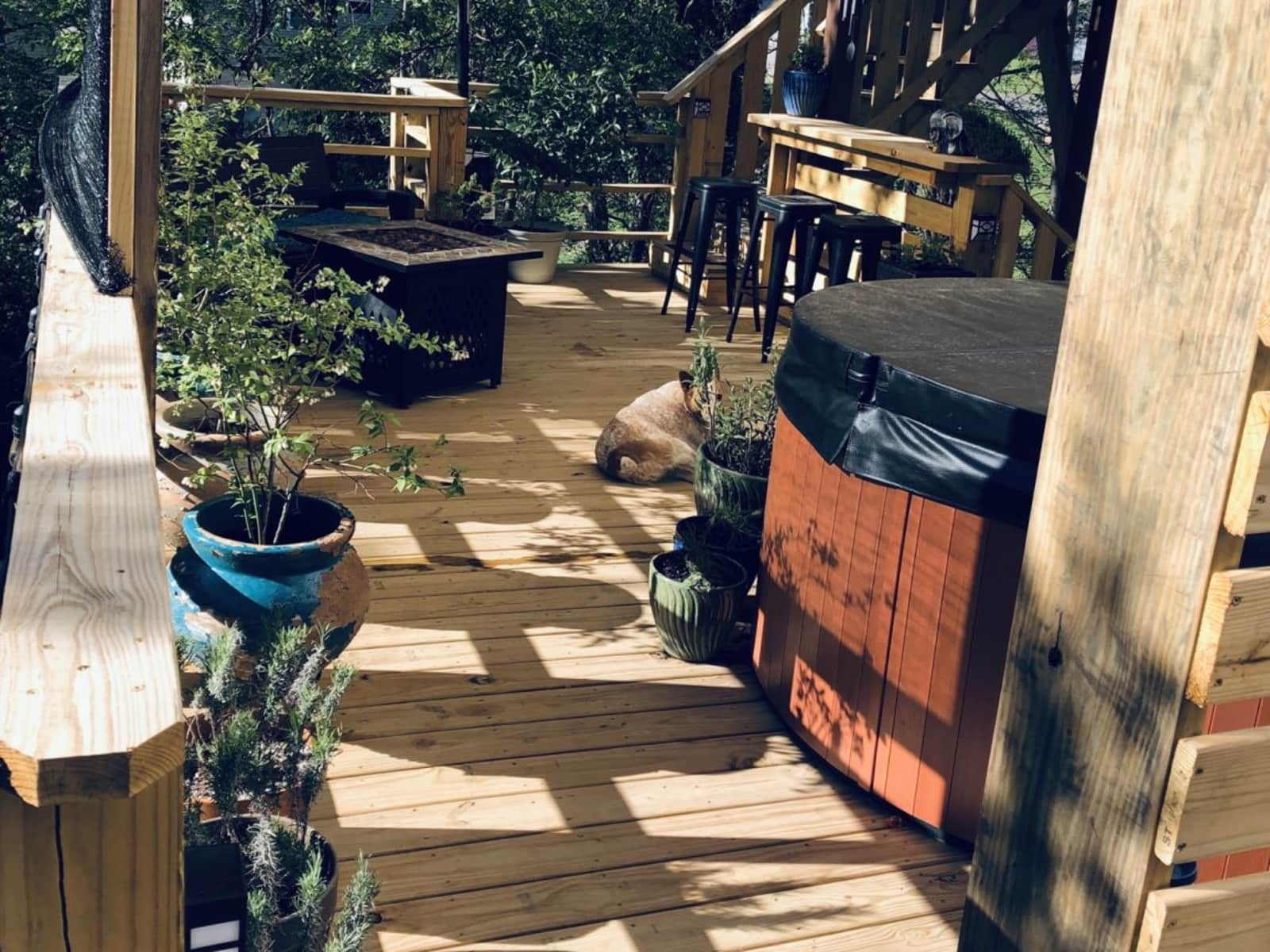 Housesitting assignment in Knoxville, Tennessee, United States