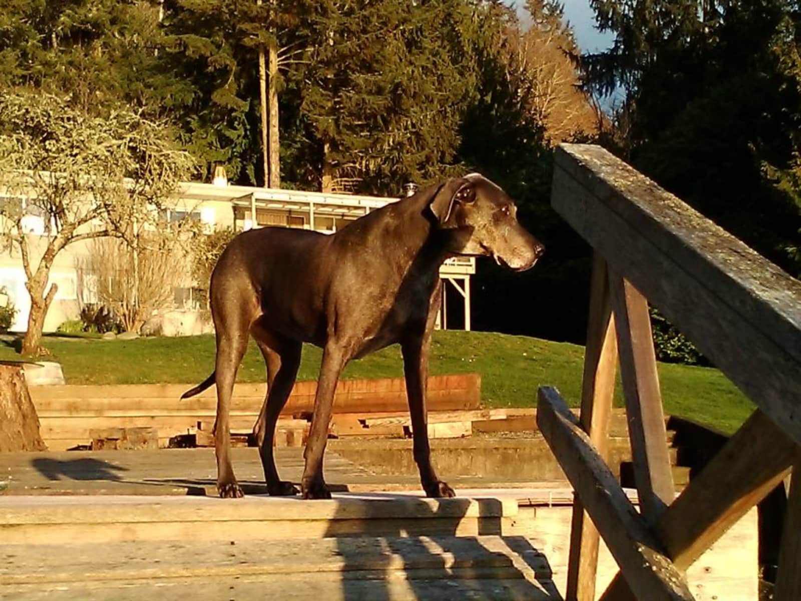 Sondra-lee from Bainbridge Island, Washington, United States