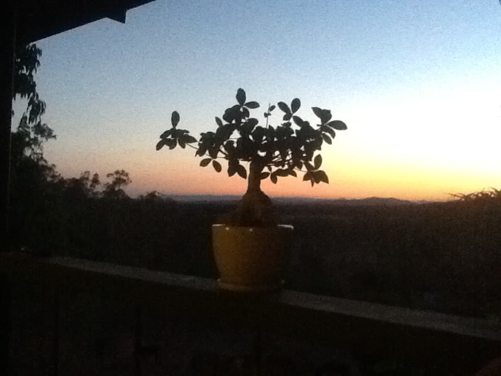 Housesitting assignment in West Stowe, Queensland, Australia