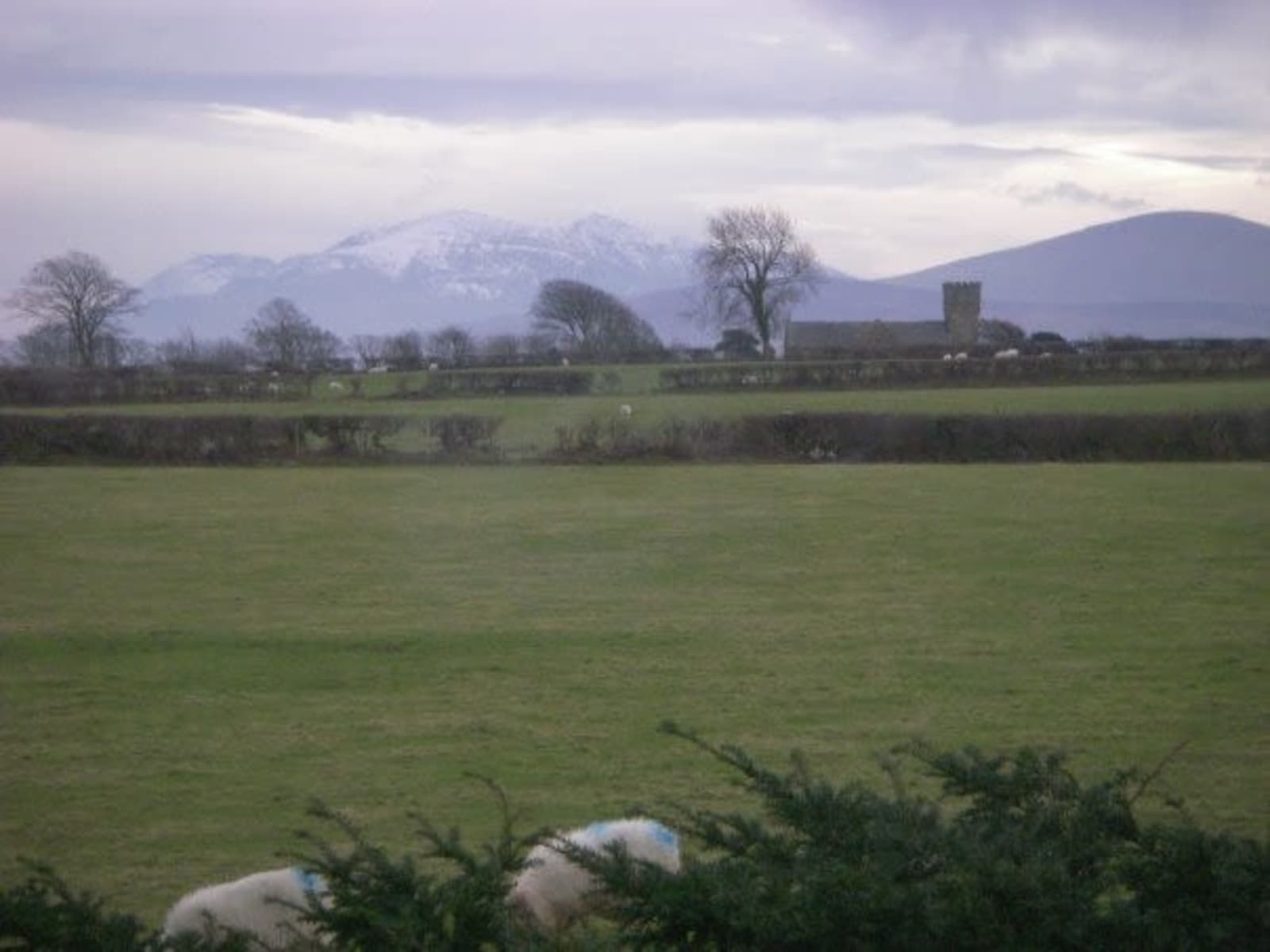 Housesitting assignment in Llanfairpwllgwyngyll, United Kingdom