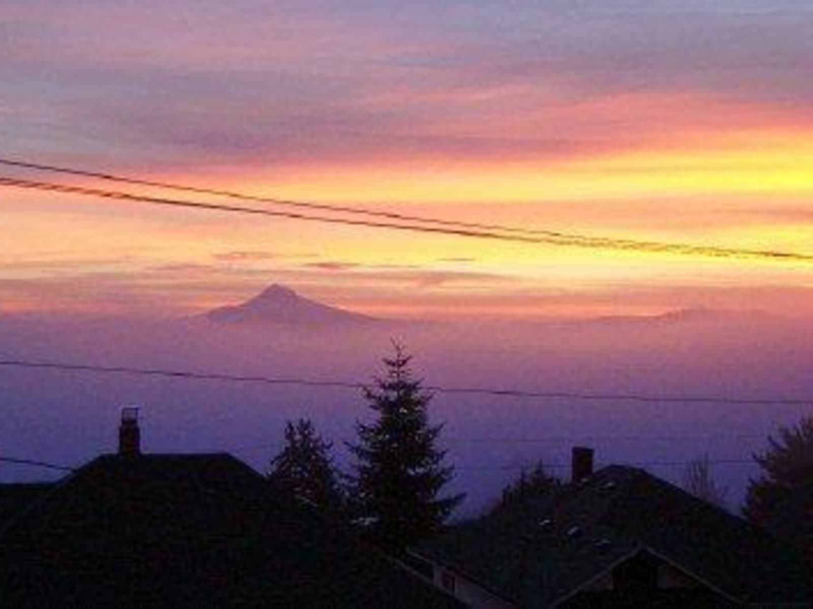 Housesitting assignment in Portland, Oregon, United States