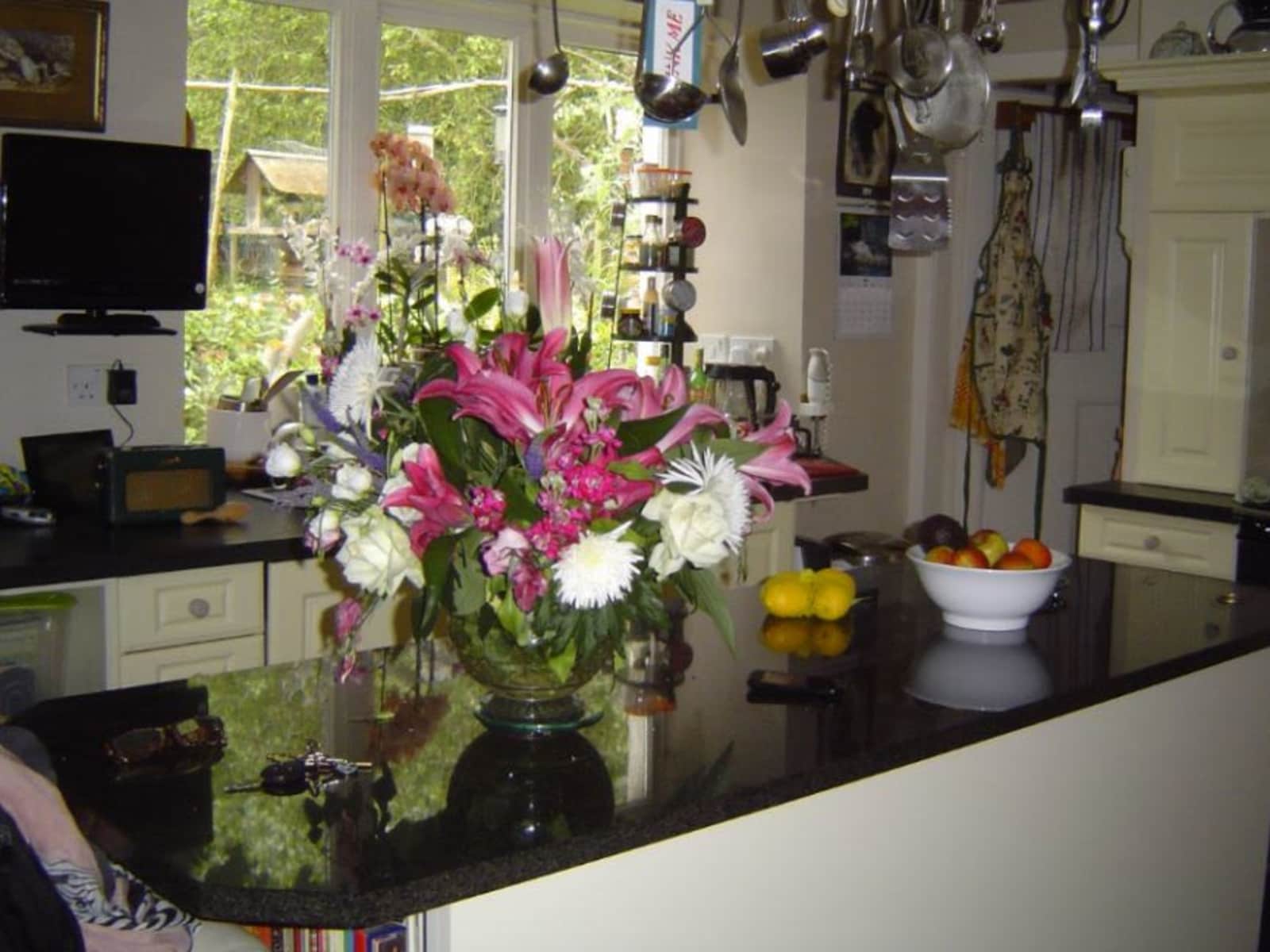 Housesitting assignment in Turriff, United Kingdom