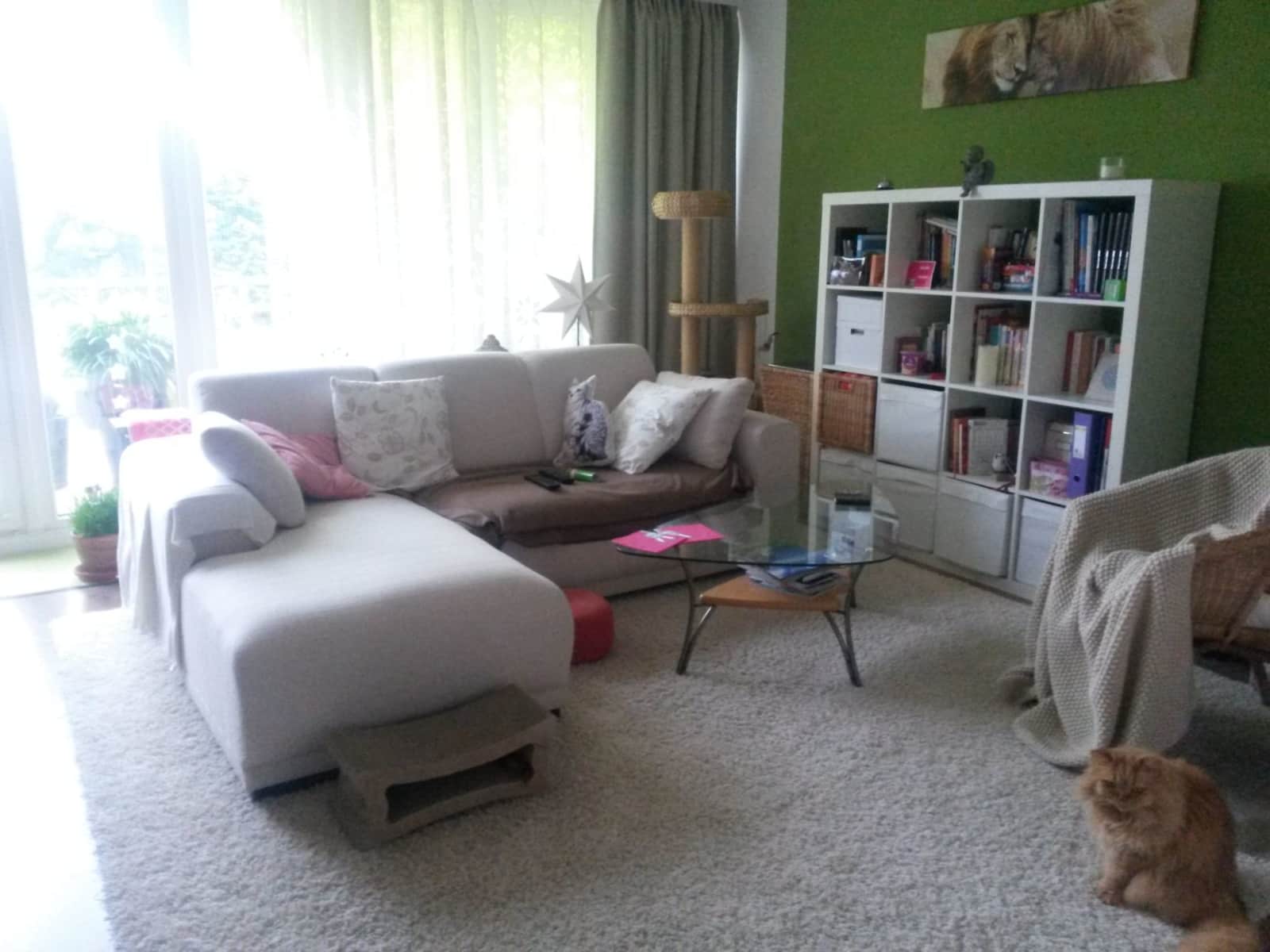 Housesitting assignment in Hamburg, Germany