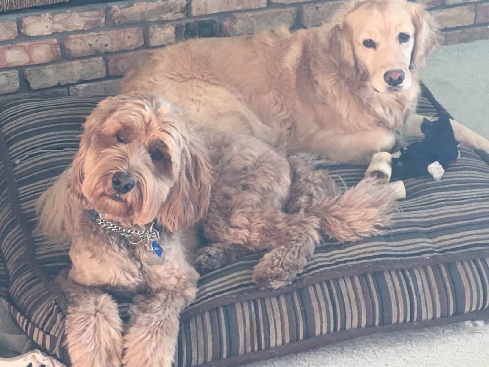 Erin from Calgary, Alberta, Canada
