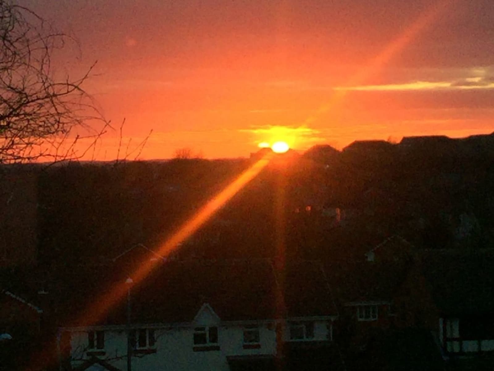Housesitting assignment in Birmingham, United Kingdom