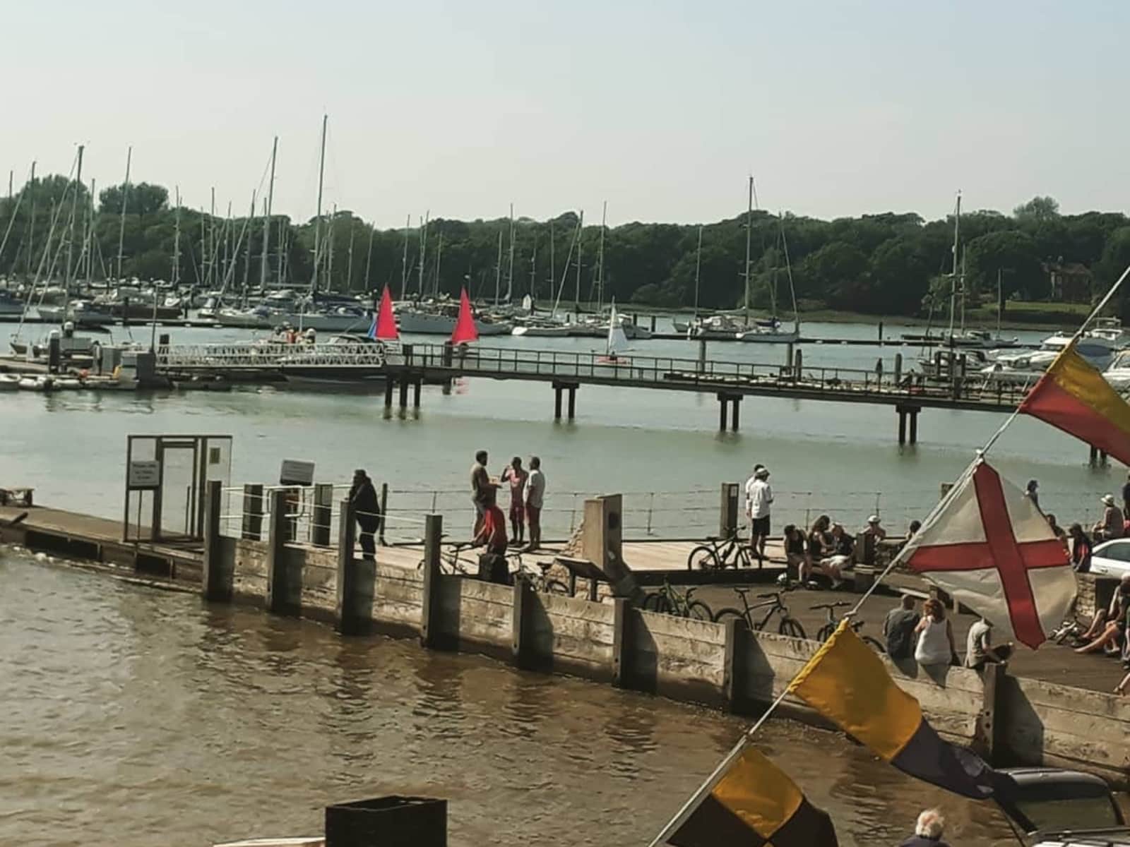 Housesitting assignment in Warsash, United Kingdom