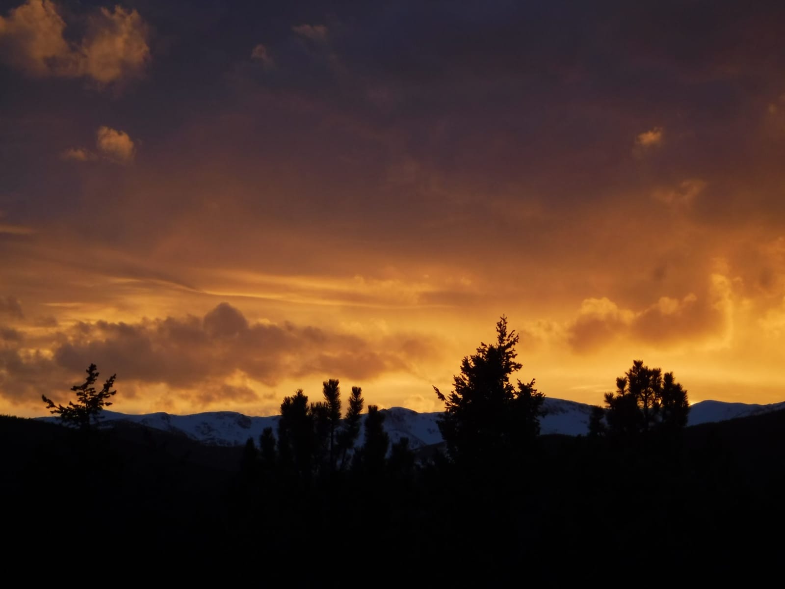 Housesitting assignment in Rollinsville, Colorado, United States