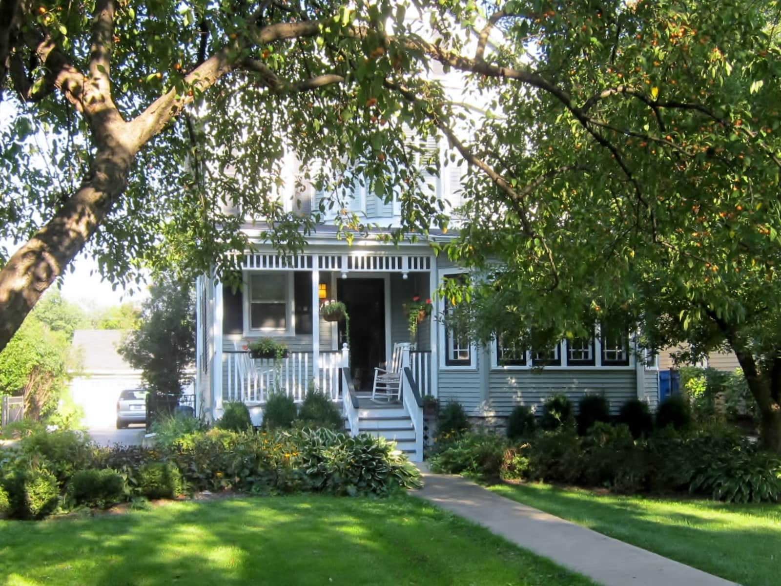Housesitting assignment in Elmhurst, Illinois, United States