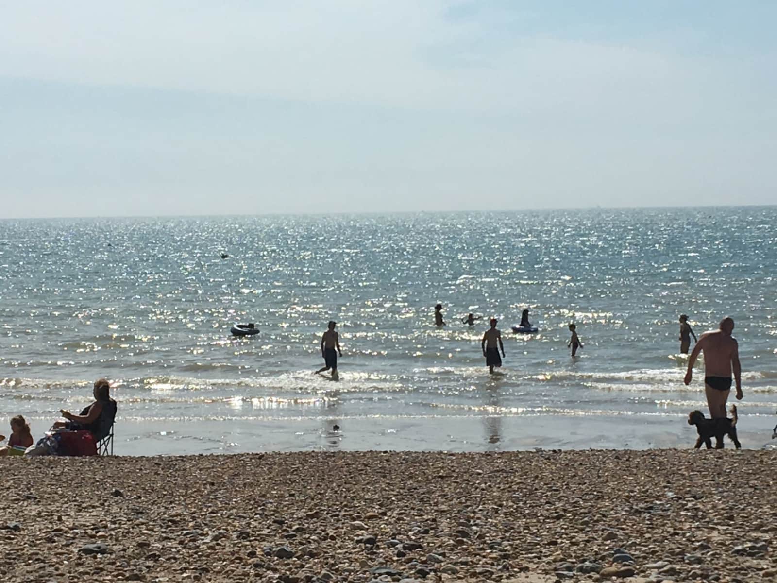 Housesitting assignment in Hove, United Kingdom