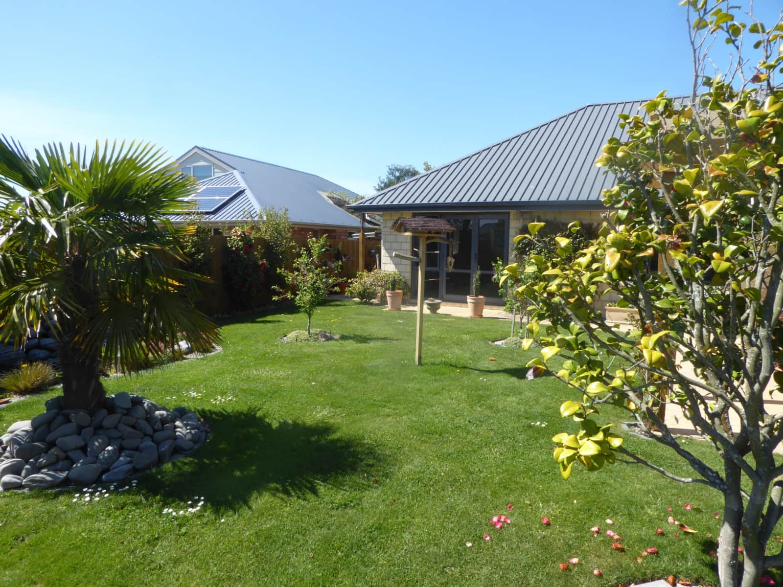 Housesitting assignment in Rolleston, New Zealand