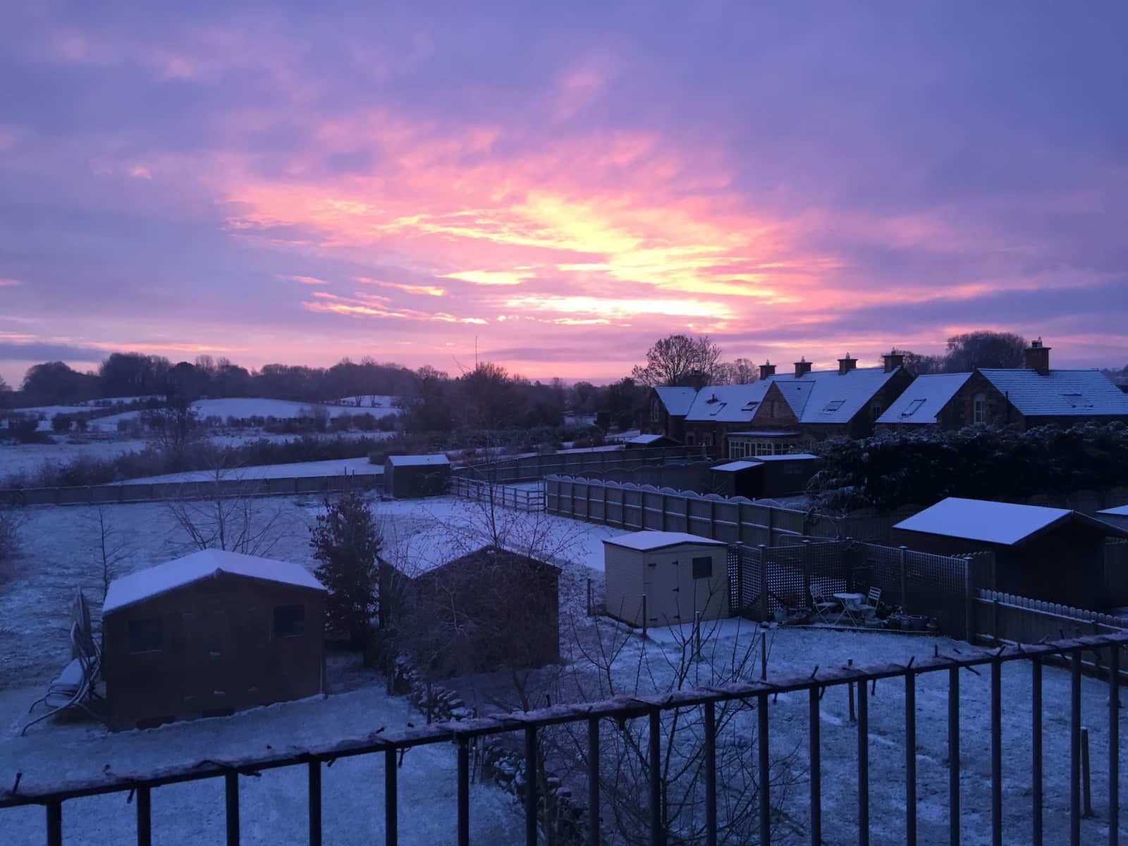 Housesitting assignment in Dunadry, United Kingdom
