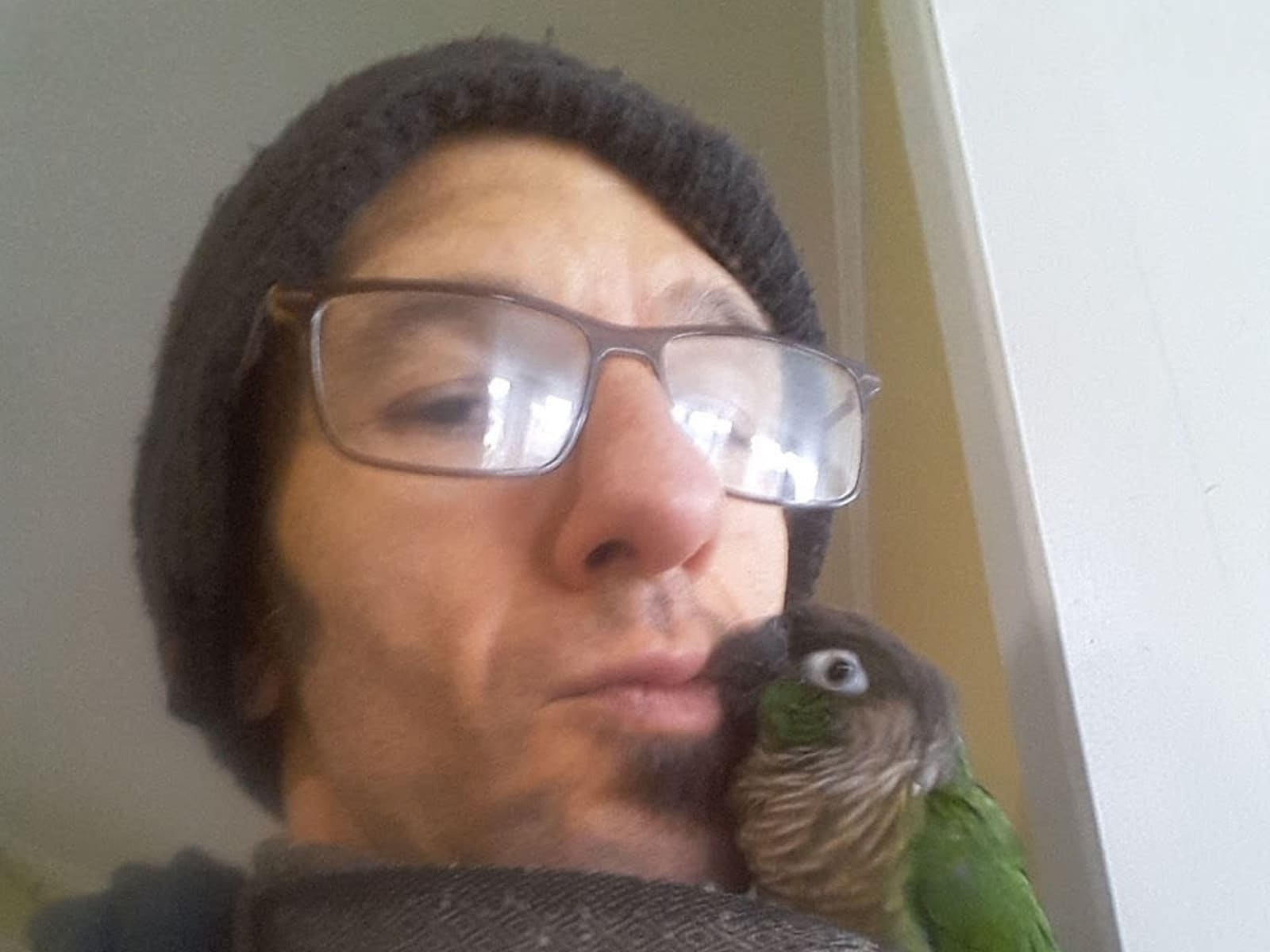 Daniel from Brookline, Massachusetts, United States