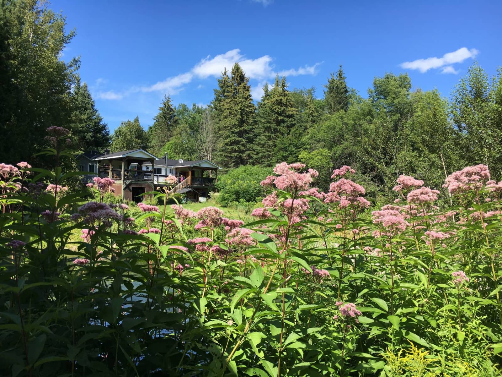 Housesitting assignment in Val-des-Monts, Quebec, Canada