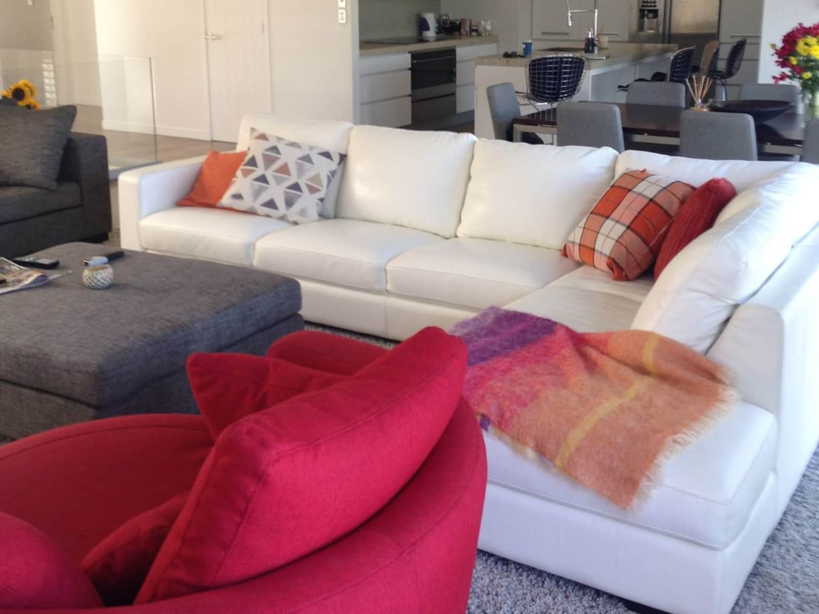 Housesitting assignment in Auckland, New Zealand