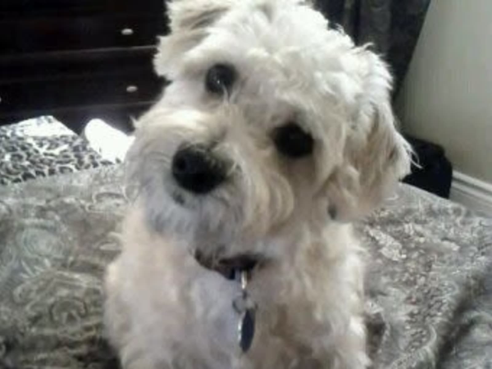 Tasha from Oakville, Ontario, Canada