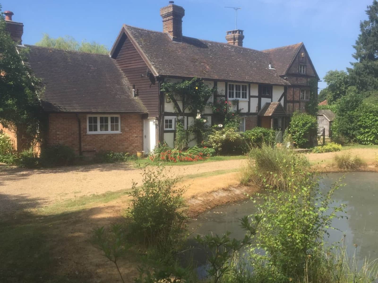 Housesitting assignment in Haywards Heath, United Kingdom