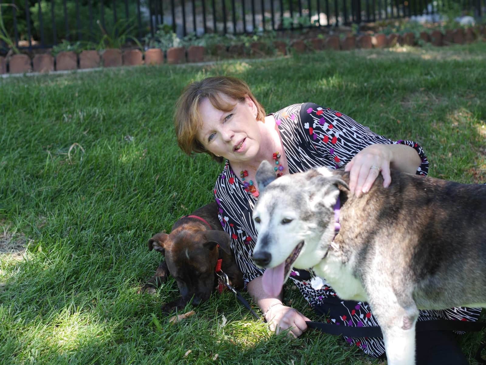 Jill from Denver, Colorado, United States