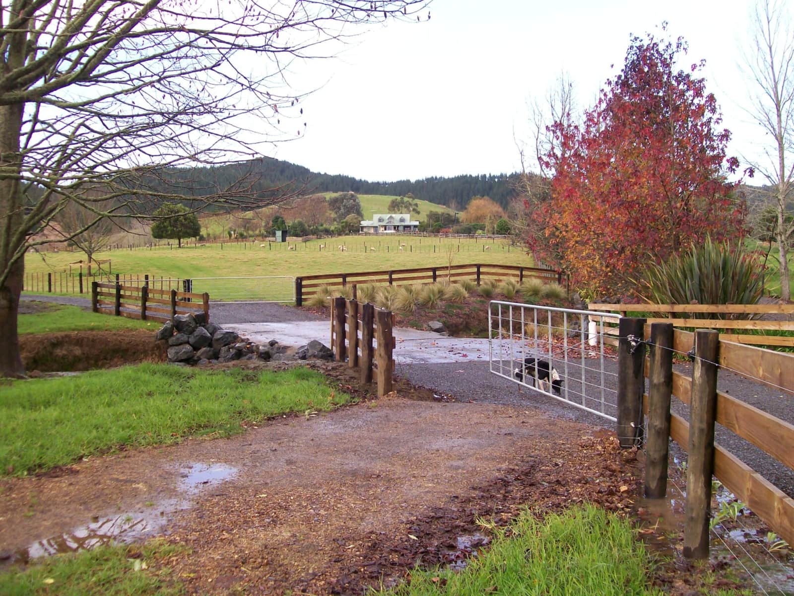 Housesitting assignment in Paihia, New Zealand