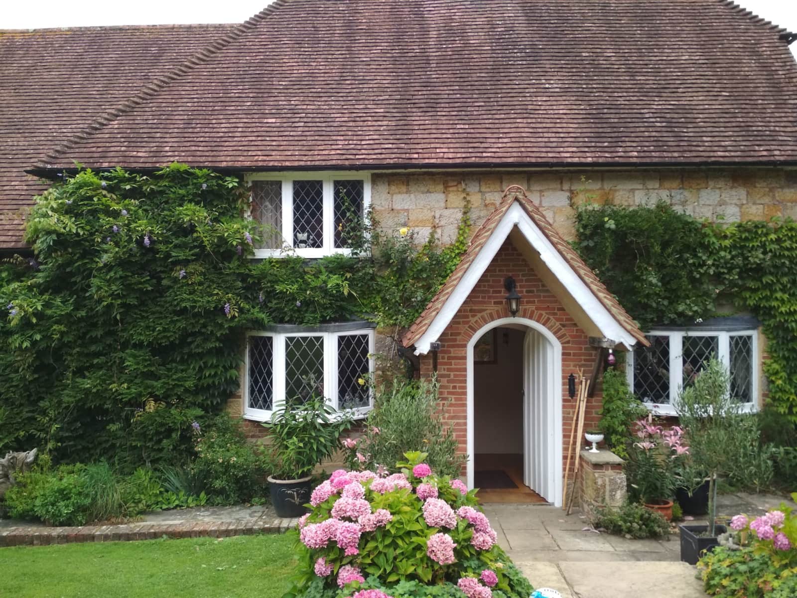 Housesitting assignment in Heathfield, United Kingdom