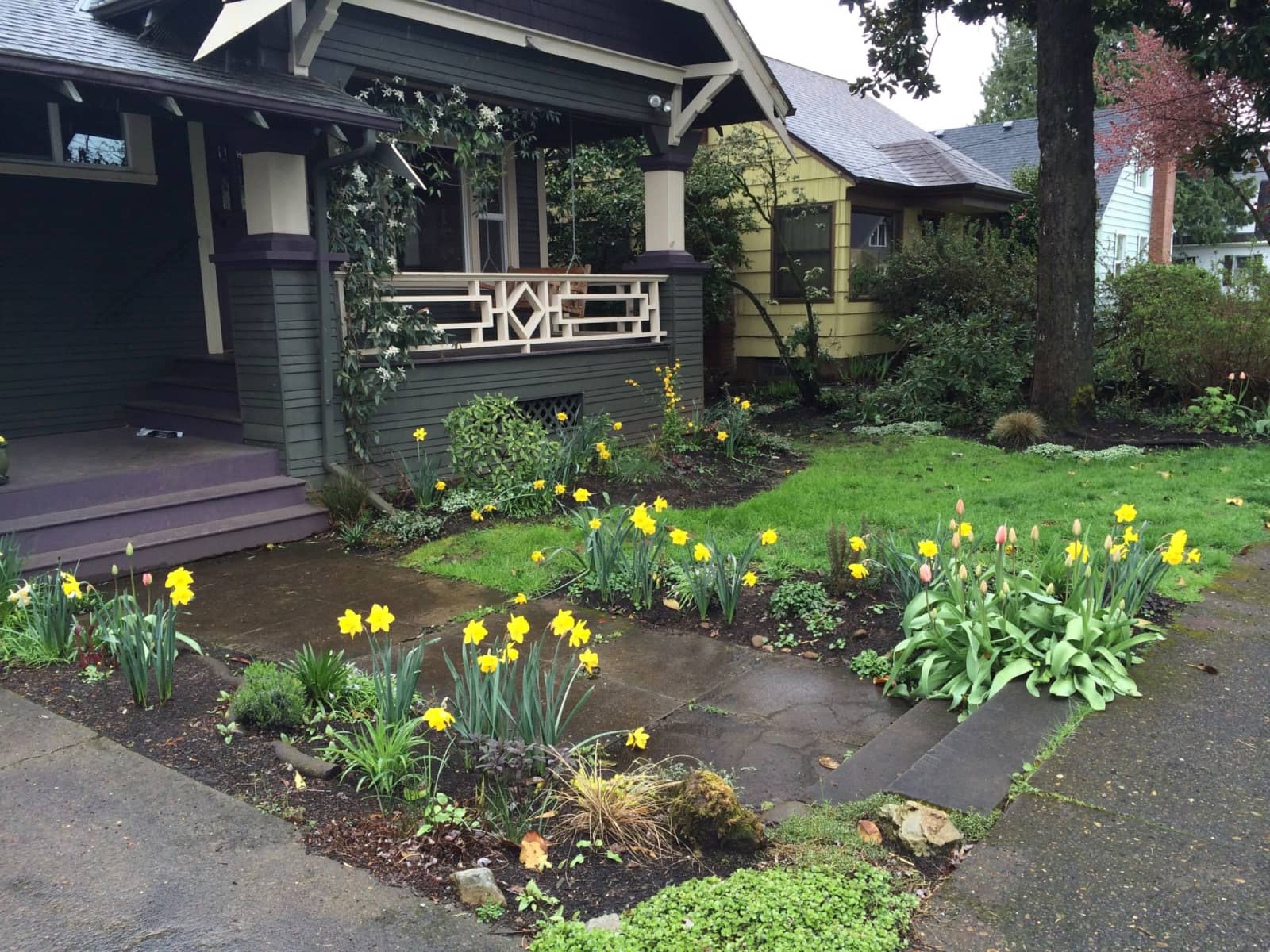 Housesitting assignment in Portland, Oregon, United States
