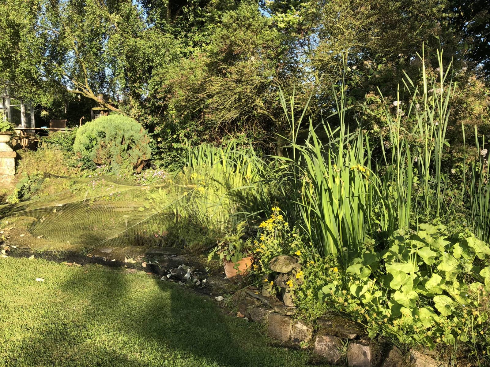 Housesitting assignment in Alfreton, United Kingdom