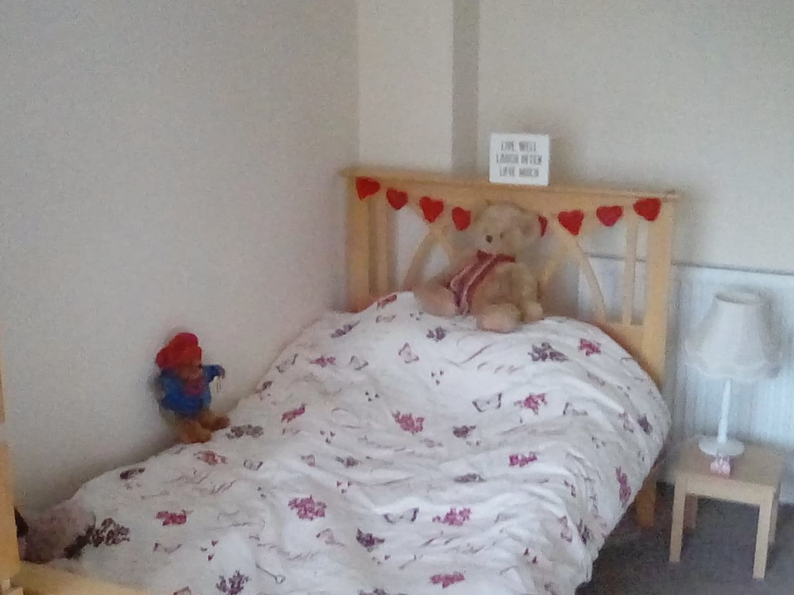 Housesitting assignment in Cardiff, United Kingdom