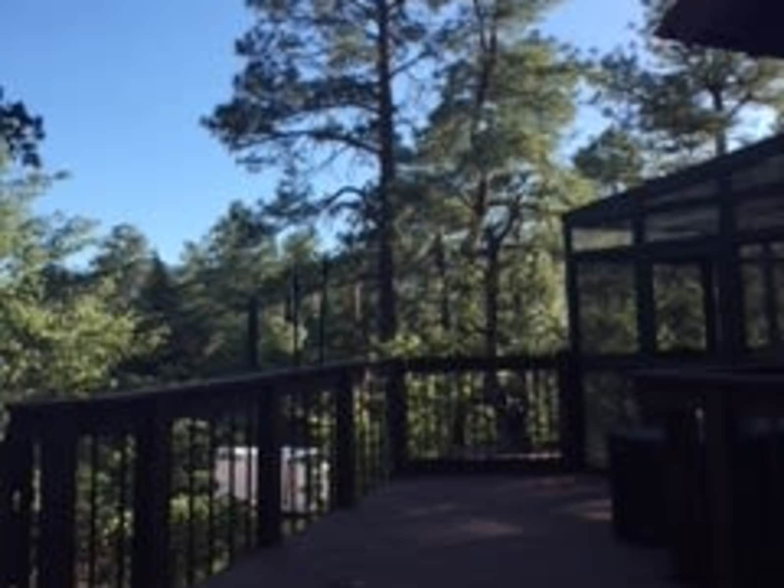 Housesitting assignment in Prescott, Arizona, United States