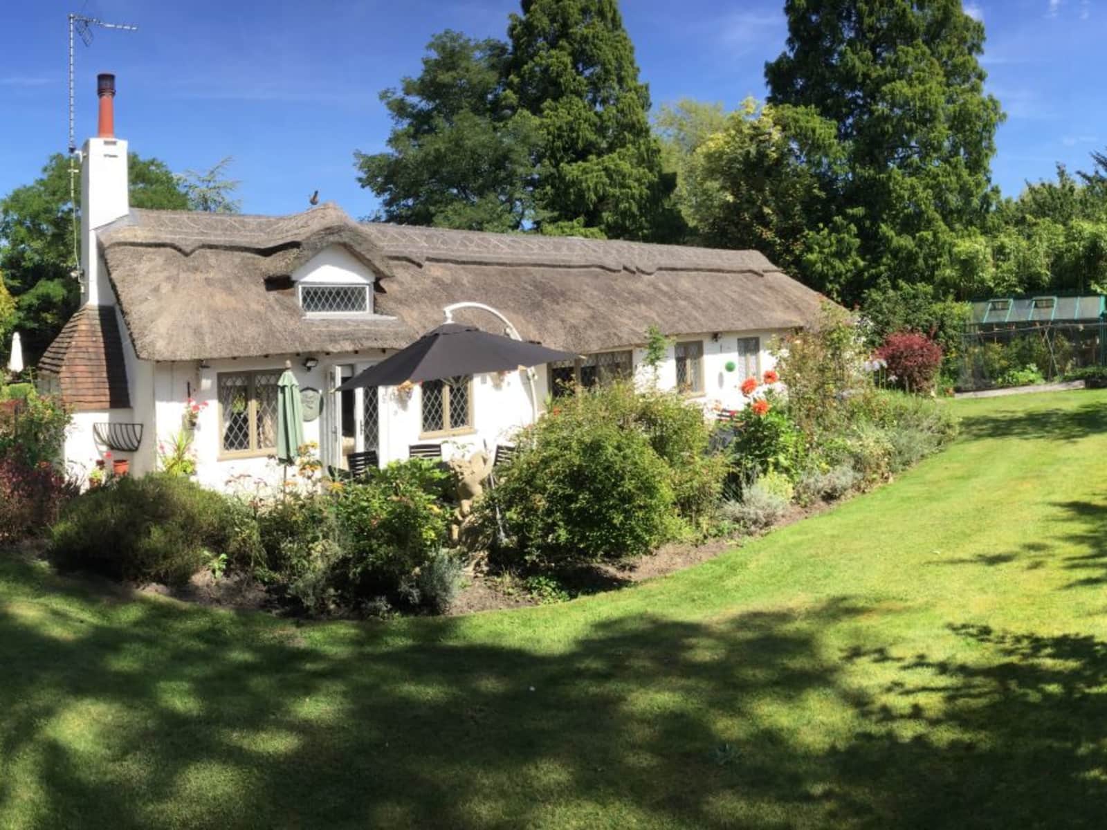Housesitting assignment in Chobham, United Kingdom