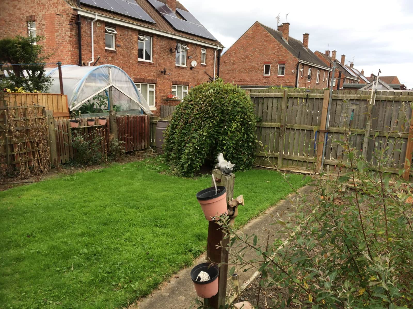 Housesitting assignment in Washington, United Kingdom