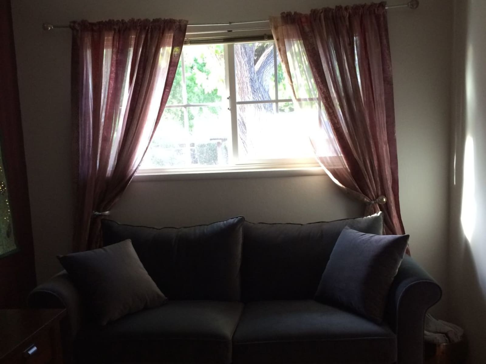 Housesitting assignment in Pleasant Hill, California, United States