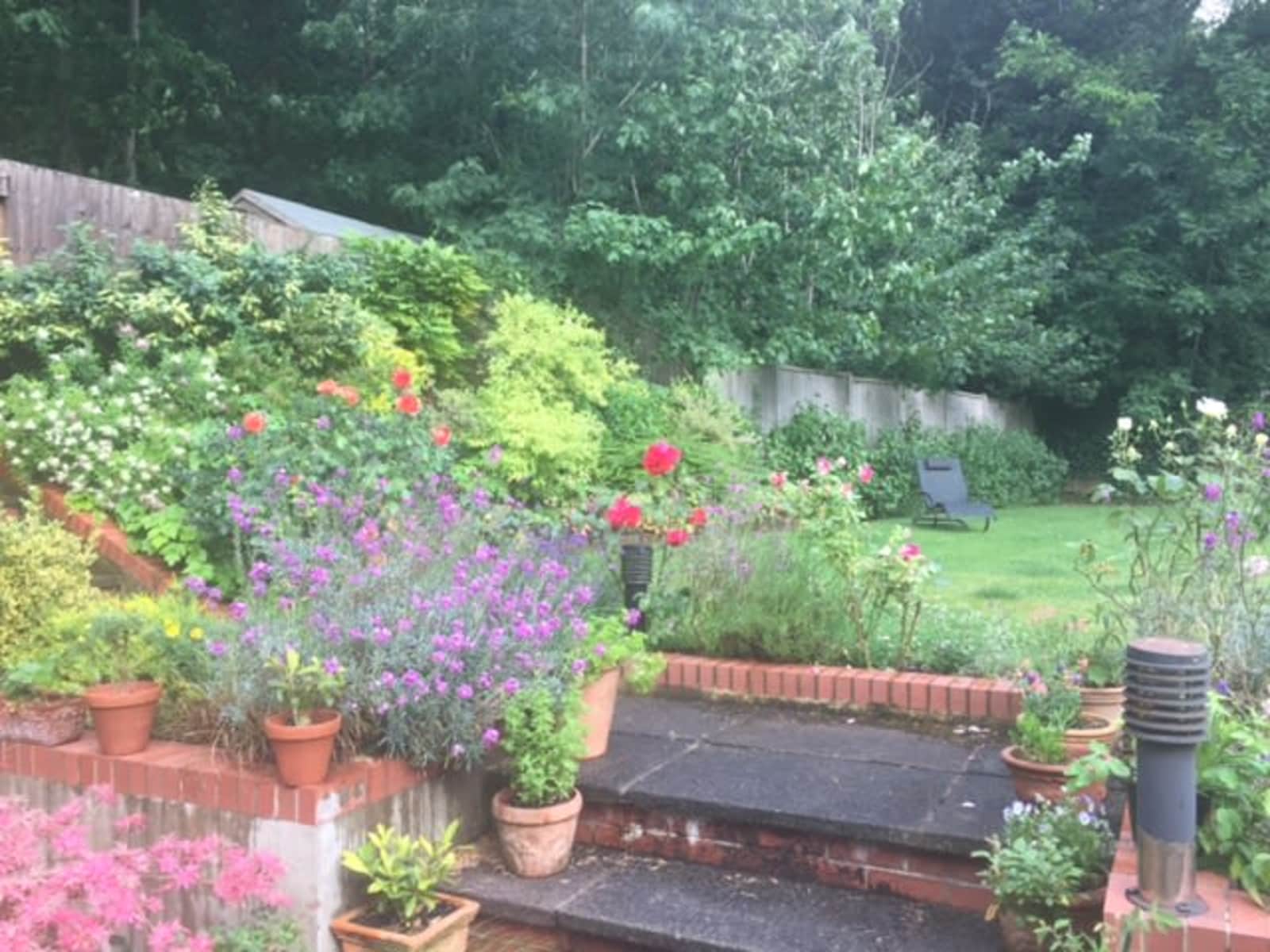 Housesitting assignment in London, United Kingdom