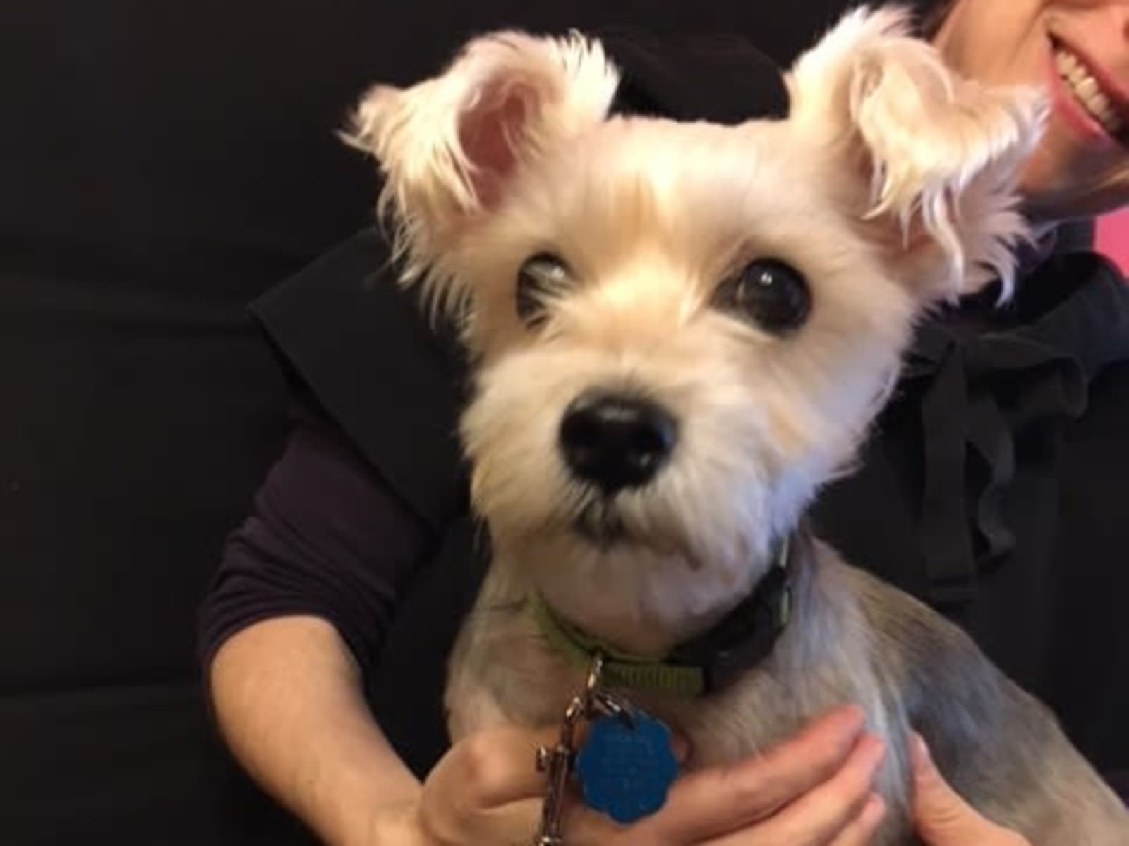 Rachel from Manhattan, New York, United States