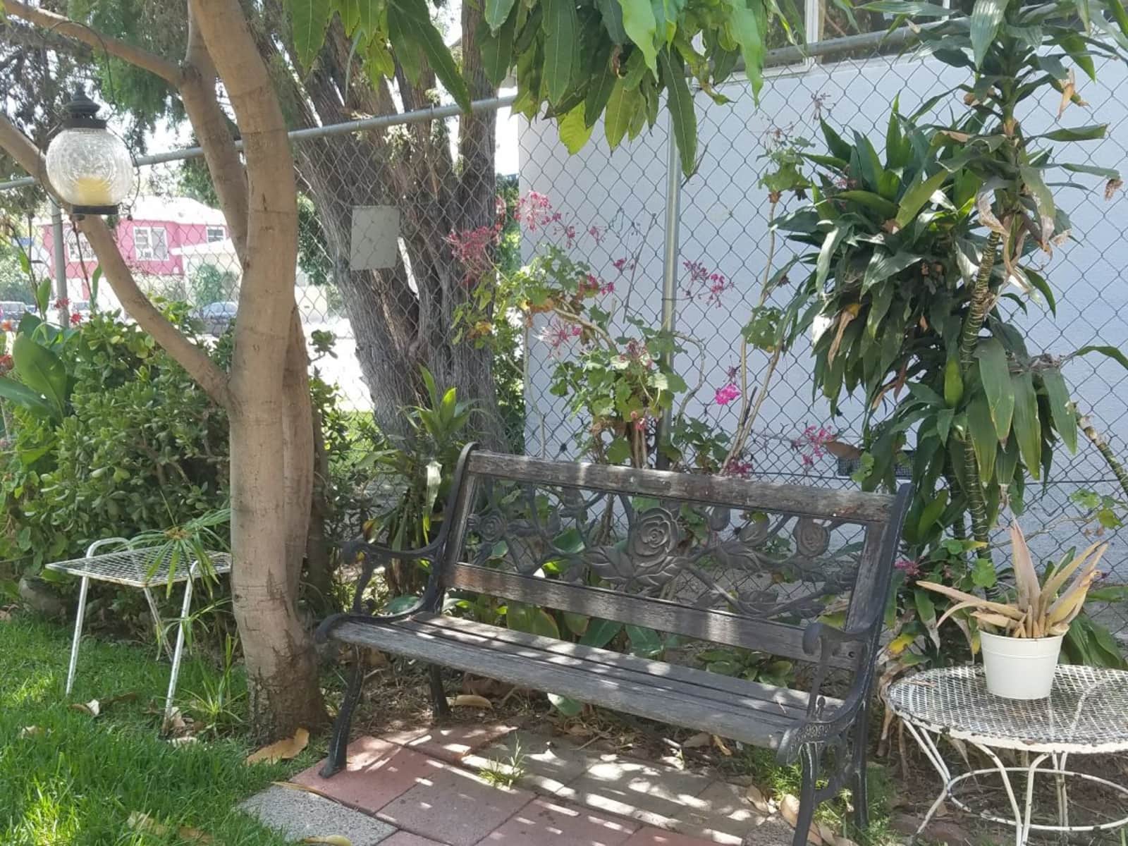 Housesitting assignment in North Hollywood, California, United States