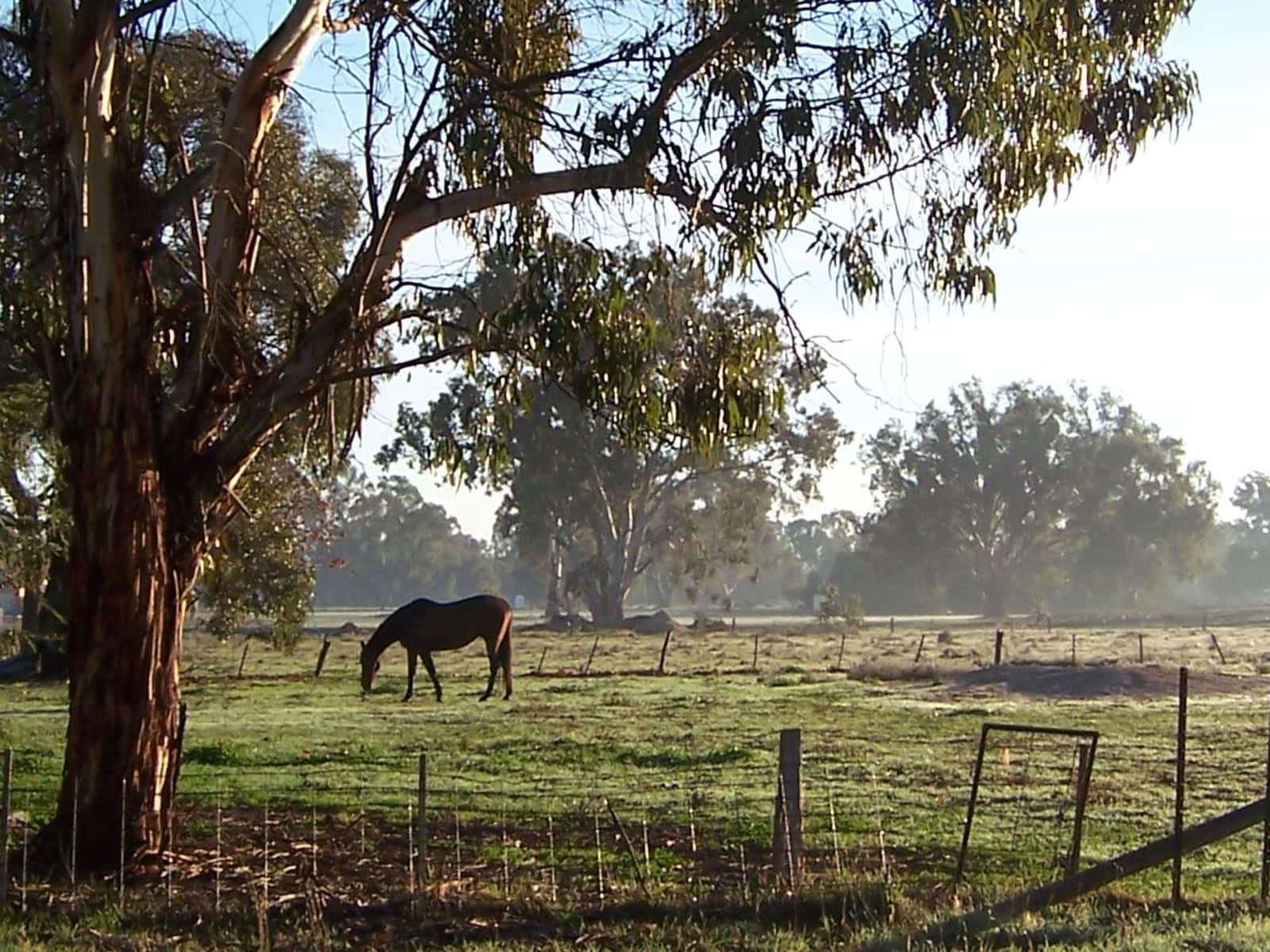 Donna from Bonbeach, Victoria, Australia