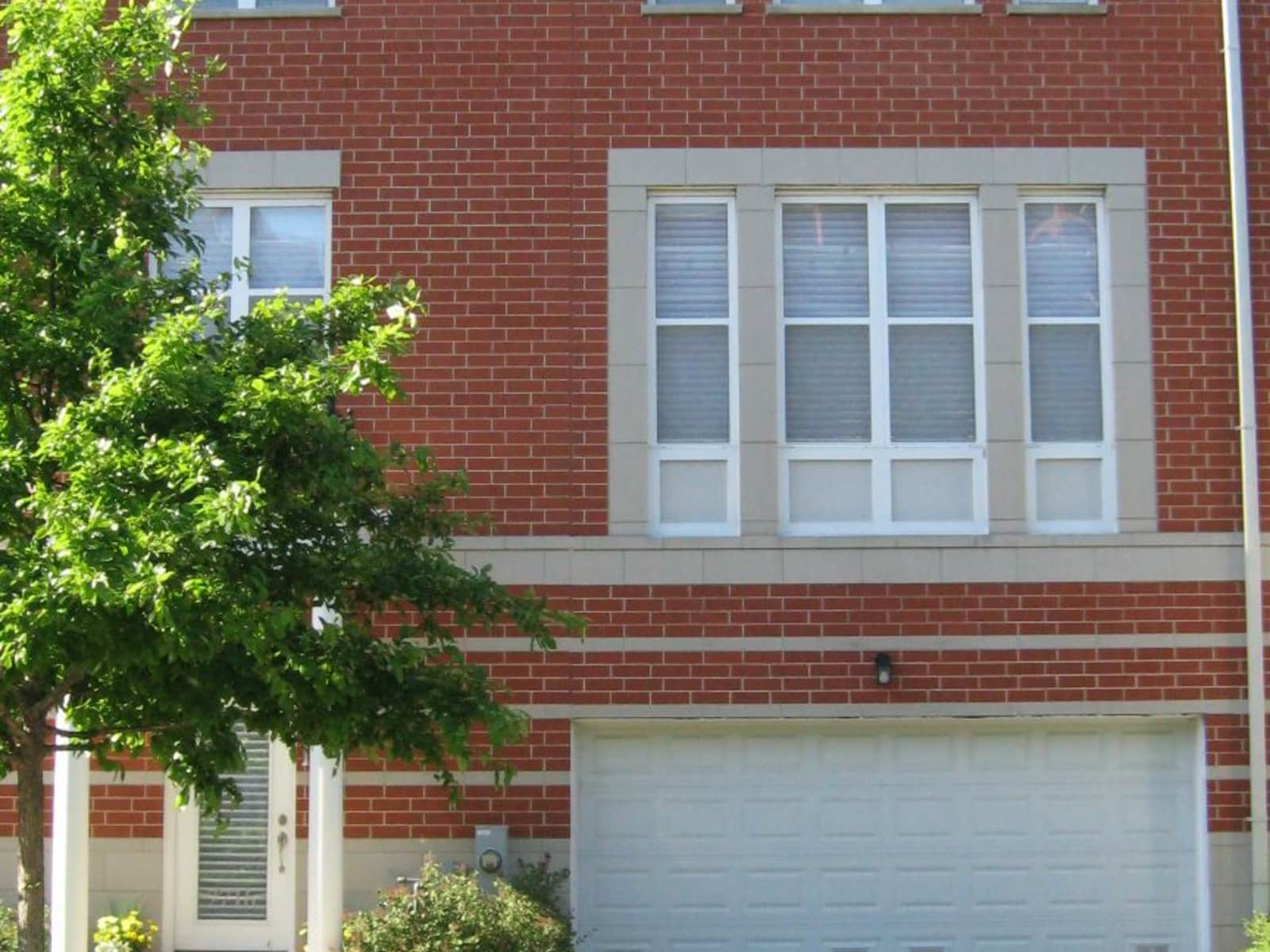 Housesitting assignment in Chicago Loop, Illinois, United States