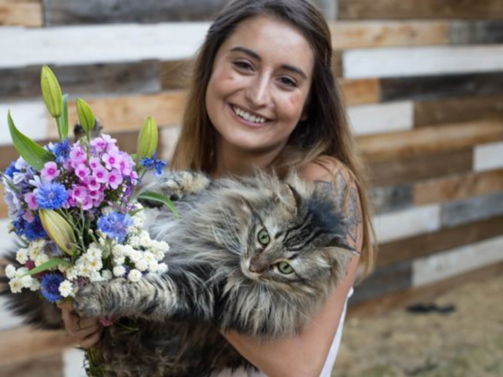 Cassie from Denver, Colorado, United States