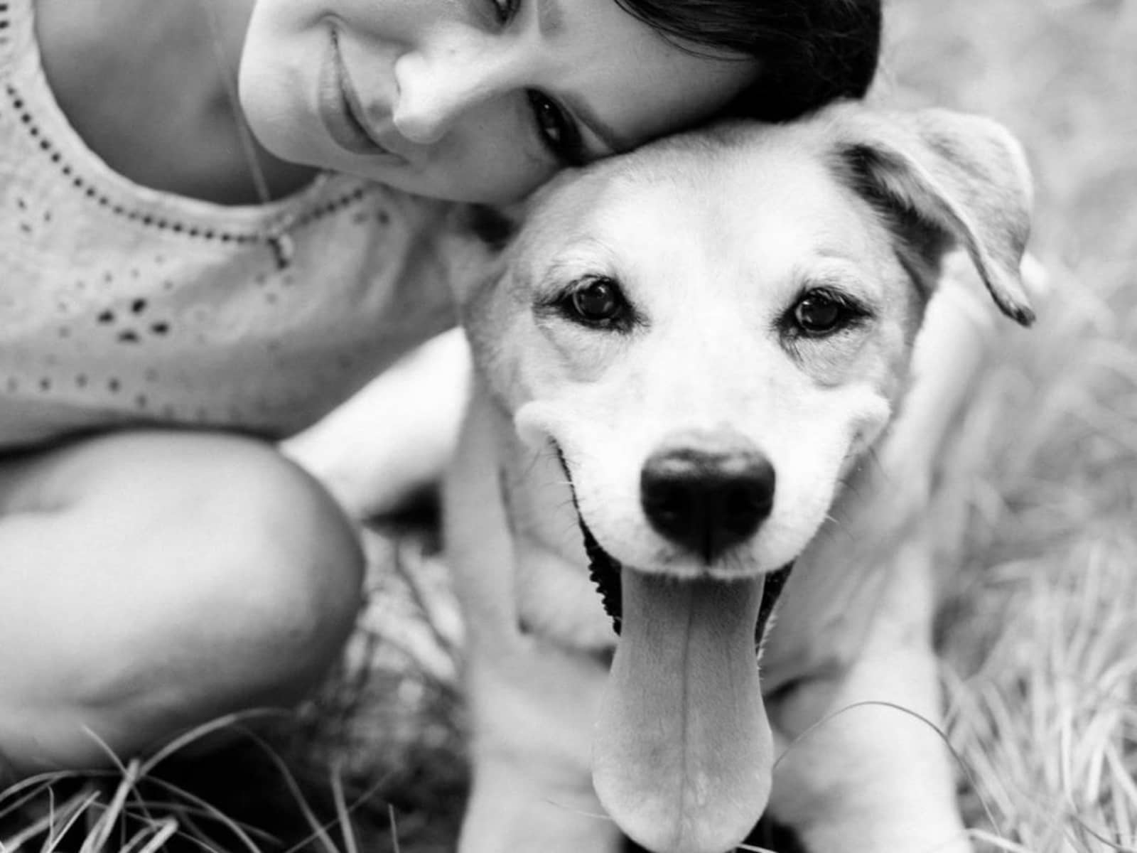 Katherine from Denver, Colorado, United States