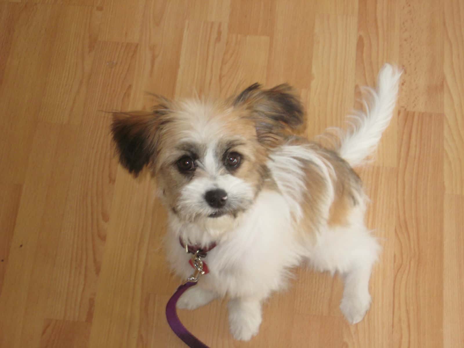 Carol from Vernon, British Columbia, Canada