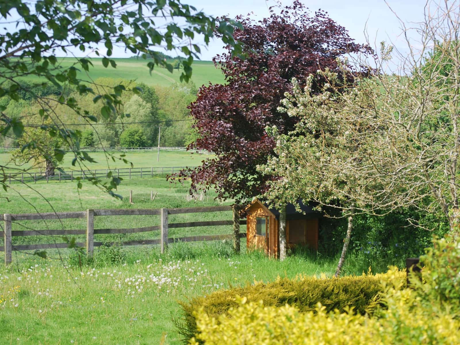 Housesitting assignment in Marlborough, United Kingdom