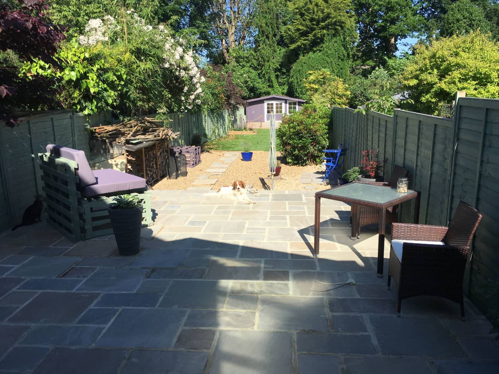 Housesitting assignment in Horsham, United Kingdom
