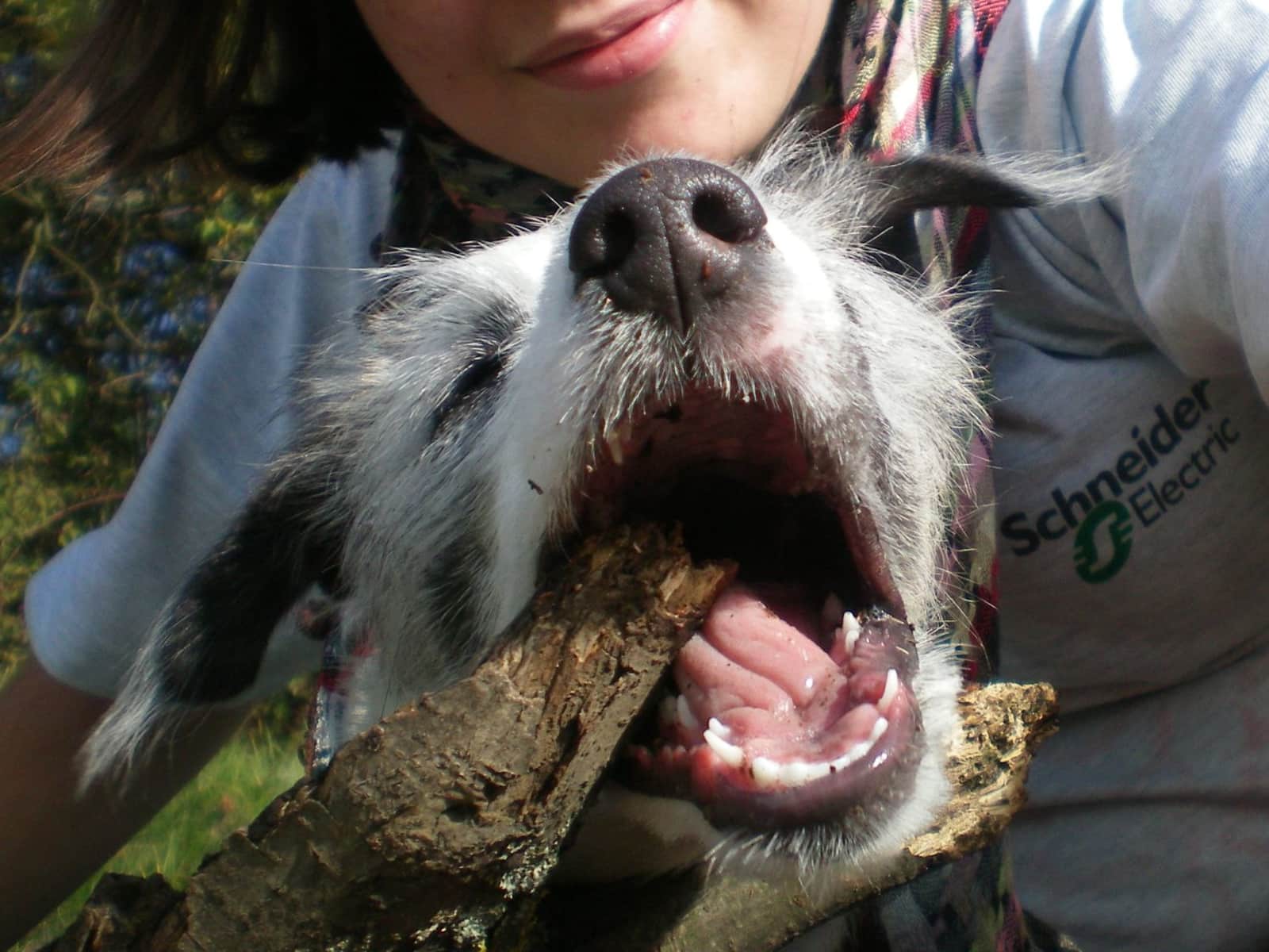 Jana from Auckland, New Zealand